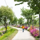 초평교 공영주차장 이미지