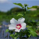 이동철농장 이미지