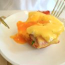 디노브런치 이미지