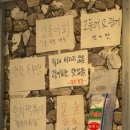하포횟집 | 함덕횟집 추천｜노포 감성 함덕맛집 백록집 제주함덕점 모듬회 포장 후기