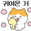 다이아뷰티 - 군산시 수송동로 7 | 다이아뷰티