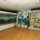 고성수석전시관 이미지