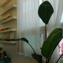 목련로22번길 이미지