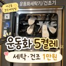 원세탁 | 비 맞고 더러워진 운동화 세탁 내돈내산 | 5켤레 세탁·건조까지 1만 원! 사근동 코인세탁방 이용 후기
