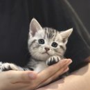 원주브리딩 이미지