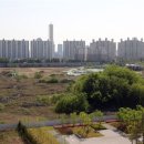 용산-446 이미지