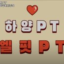 엘핏