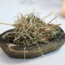 블루힐농장 이미지