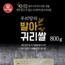 대양슈퍼 네이버블로그