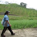 동음1리 이미지