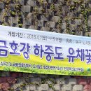 금호강하중도 이미지