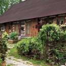 숲속오두막 이미지