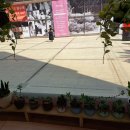 루디아헤어 이미지