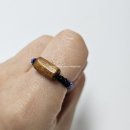 (Nanal)나날 이미지