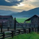 자연과  건강 이미지