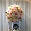 남면 공설운동장(인조잔디) | 태안 애견동반숙소 그리다숨 스테이 후기 인조잔디 운동장 있는 독채 펜션