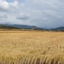 상읍농장 이미지