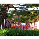 수로왕릉 이미지