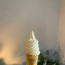 제주맛집 티스토리