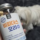 자연애오리 | 강아지 영양제 간식 추천 _ 자연애 비피더스 오리