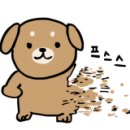 오렌지셀프세차장 이미지