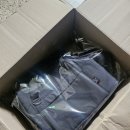 사계절공정여행 | 강아지이동가방 추천! 3kg 포메 병원 가방으로 딱 좋은 스윗테일 비비드토이백 블랙 솔직후기