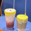레인보우홍대 이미지