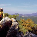 법원길 삼거리 앞 이미지