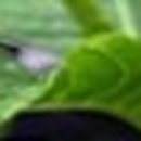 치아나라234치과의원 이미지