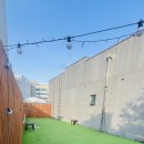 아주운동장 | 김포애견카페 실외 강아지 운동장 있어 놀기 좋은 퍼플러피