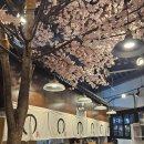 강남대로 545-9 | 논현역 라멘 맛집 모바면가 강남점, 국물이 끝내주는 진한 돈코츠라멘 솔직 후기