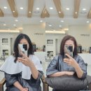 헤어바이올렛 | 김포 사우동 미용실 레드바이올렛 염색 후기 안녕헤어 김포사우점
