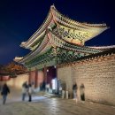 물빛기술 | 서울) 창경궁 야간 개장, 미디어 아트 물빛 연화 관람 후기; 무료 야간 개장 및 야간 관람 일시 중단 시기