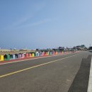 별방진 | 2박3일 봄 제주가족여행 성곽 너머 노란 물결 별방진 유채꽃 후기 및 추천