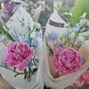 오드리인 | [분당 맛집]가족외식 추천 이탈리안 레스토랑 헬로오드리 솔직 후기 및 이용 정보 정리