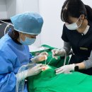 인,인치과의원 이미지