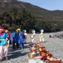 완도 예송리 상록수림 이미지