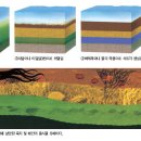 설도석유 이미지