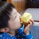 초일농장 | 과일선물세트 고민 없이 작년에 이어 청송덕이사과 선택했어요~