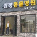 동진동물병원 이미지