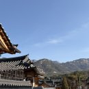 꽃과 한옥 | 불교신자인 엄마와 진관사 데이트!, 은평한옥마을 풍경꽃 카페 후기까지