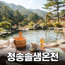 청송카 | 청송솔샘온천 비교 가이드: 소노벨청송 솔샘온천 이용 팁과 숙박 패키지 선택 요령