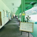 사천골프랜드 | 사천골프랜드 숏게임 잔디 연습장 후기