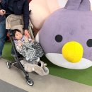 리베르 | 일본 휴대용 유모차 : 아카짱혼포 싸이벡스 리베르 일상,여행 기내용 사용 후기