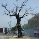 5.18소공원 이미지