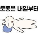 강희자얼큰손만두국
