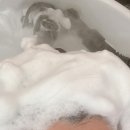 프리티헤어샵 이미지