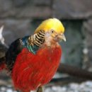 금계농장 이미지