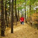 비학산 누리길 이미지