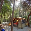 호수산장 관광농원 이미지